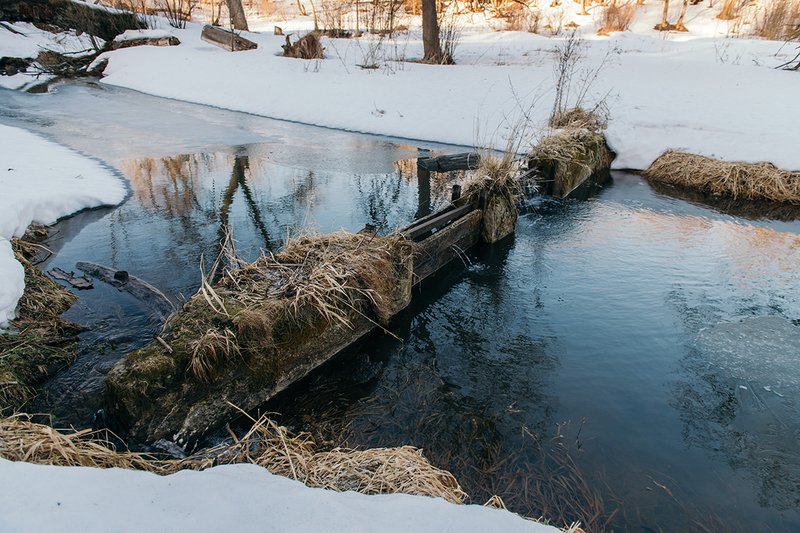 Обложка статьи