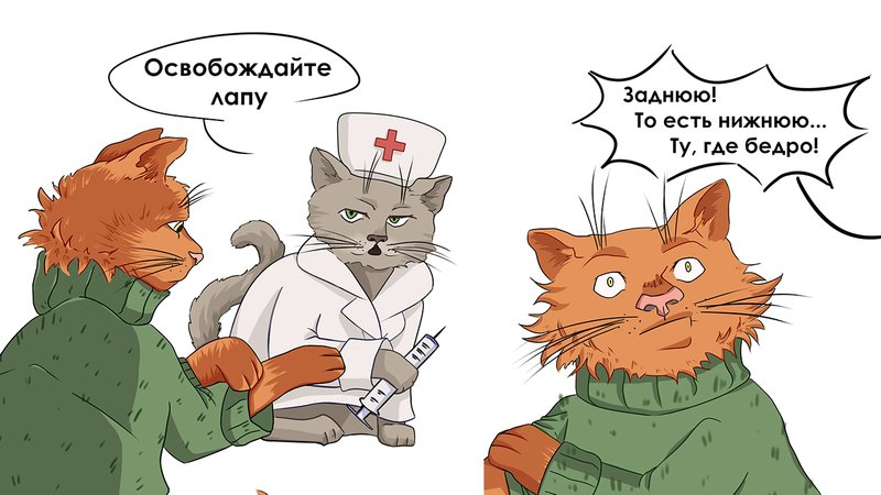 Обложка статьи