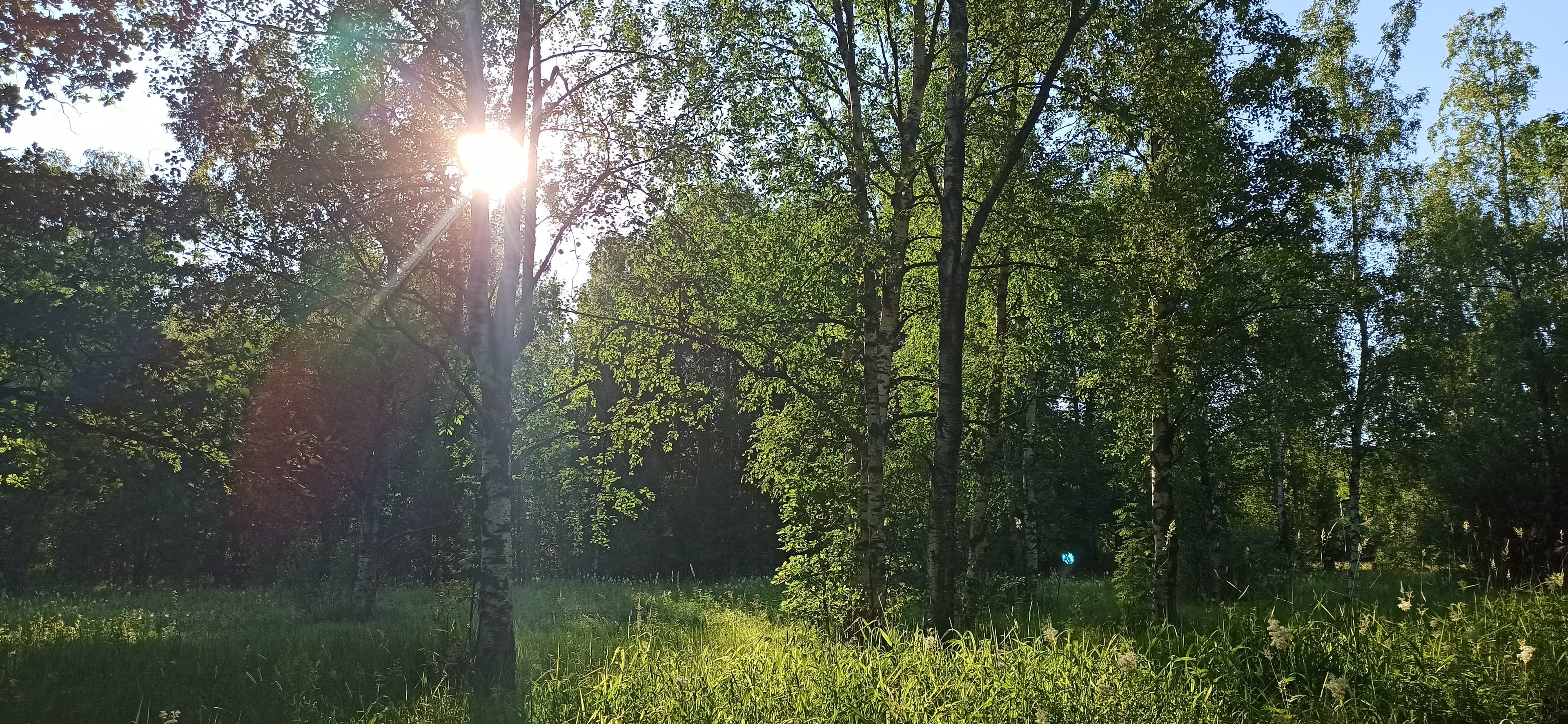 Обложка статьи