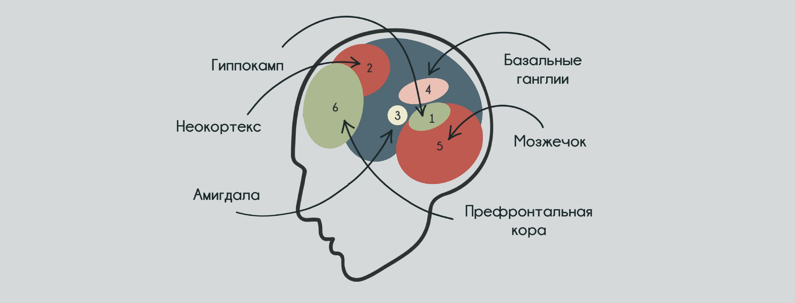 Обложка статьи