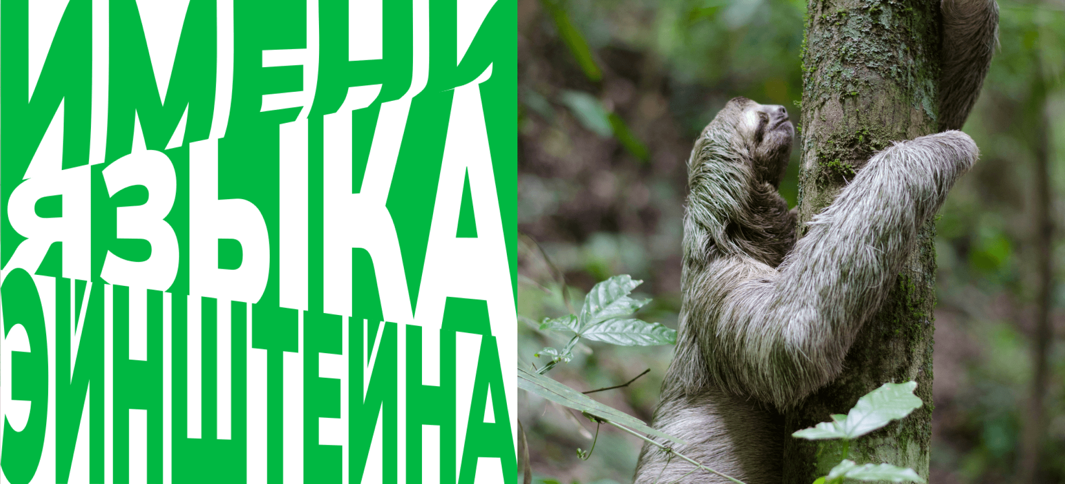 Обложка статьи