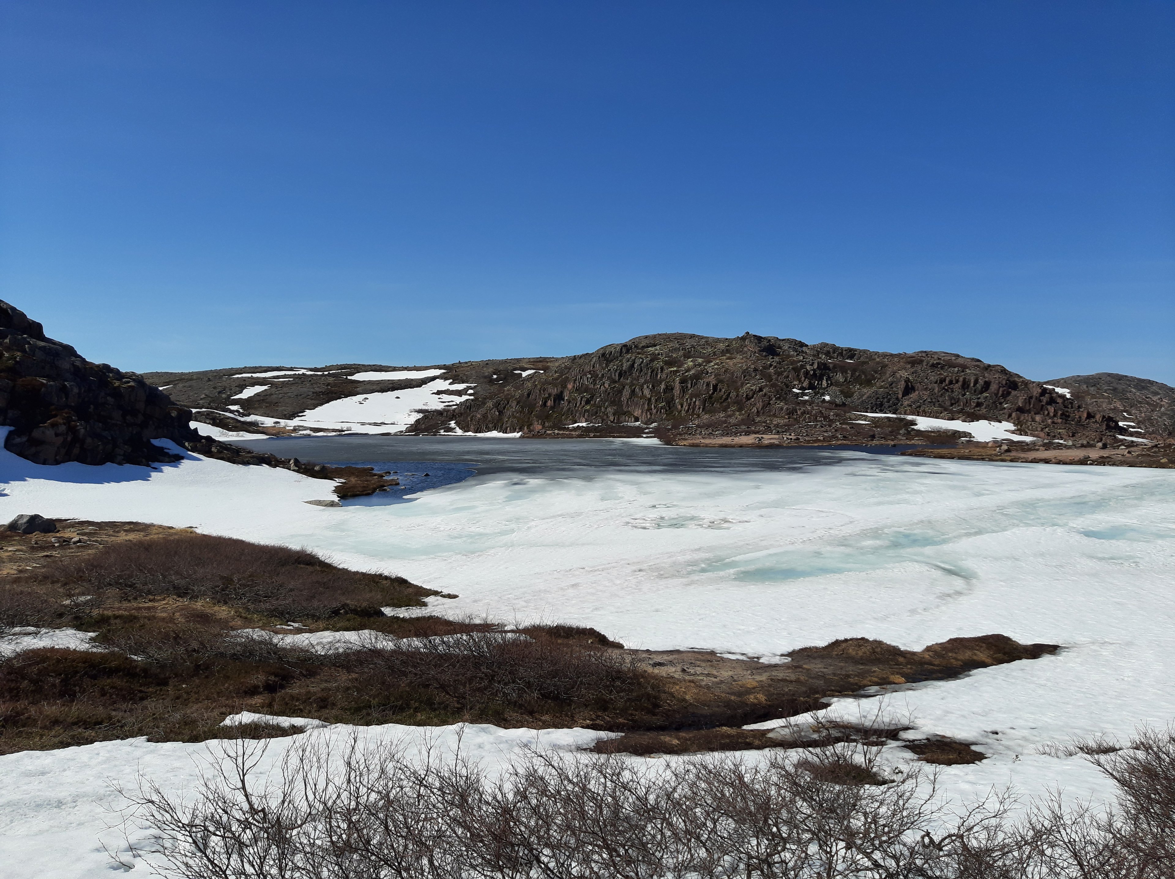 Обложка статьи