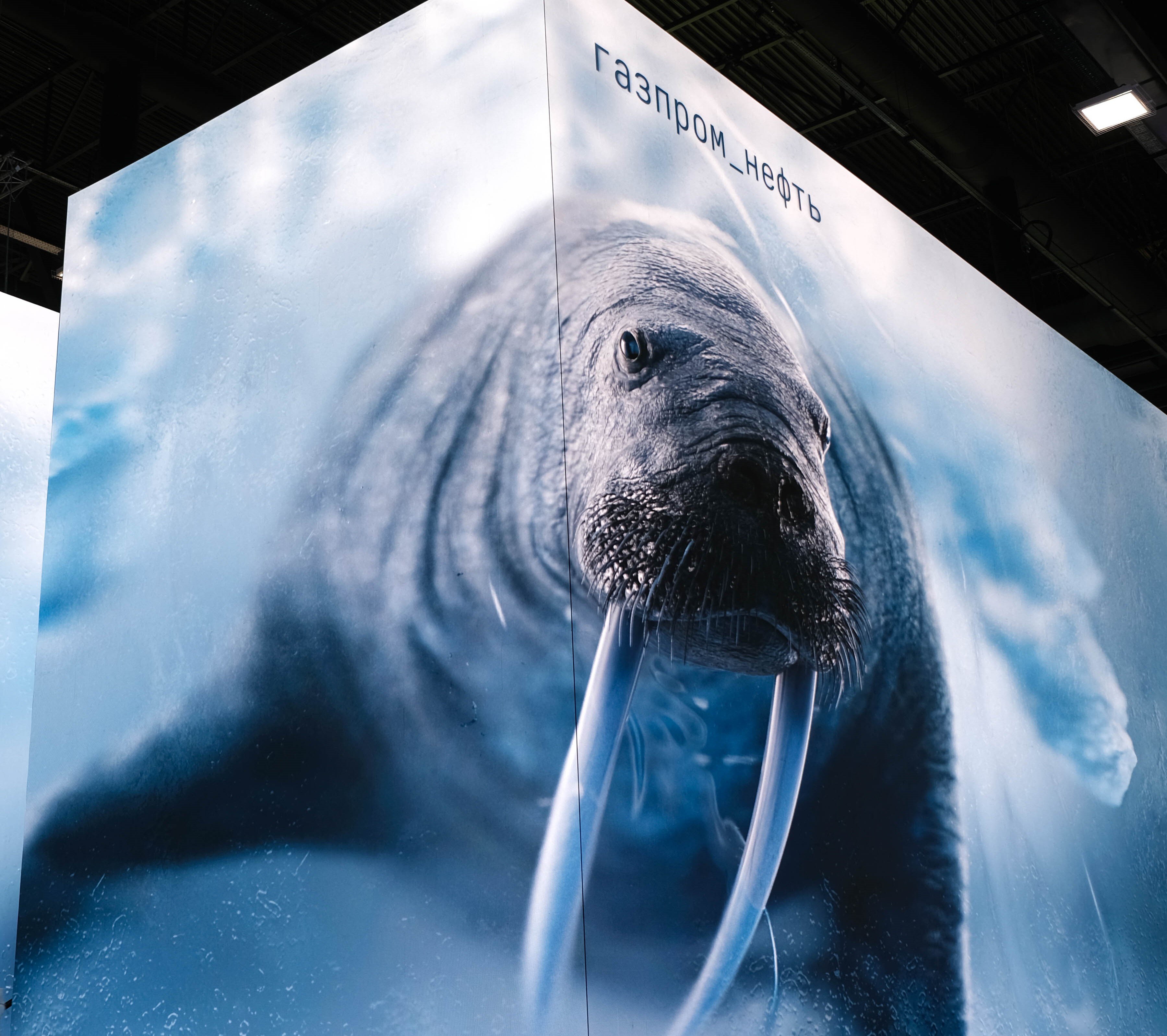 Обложка статьи