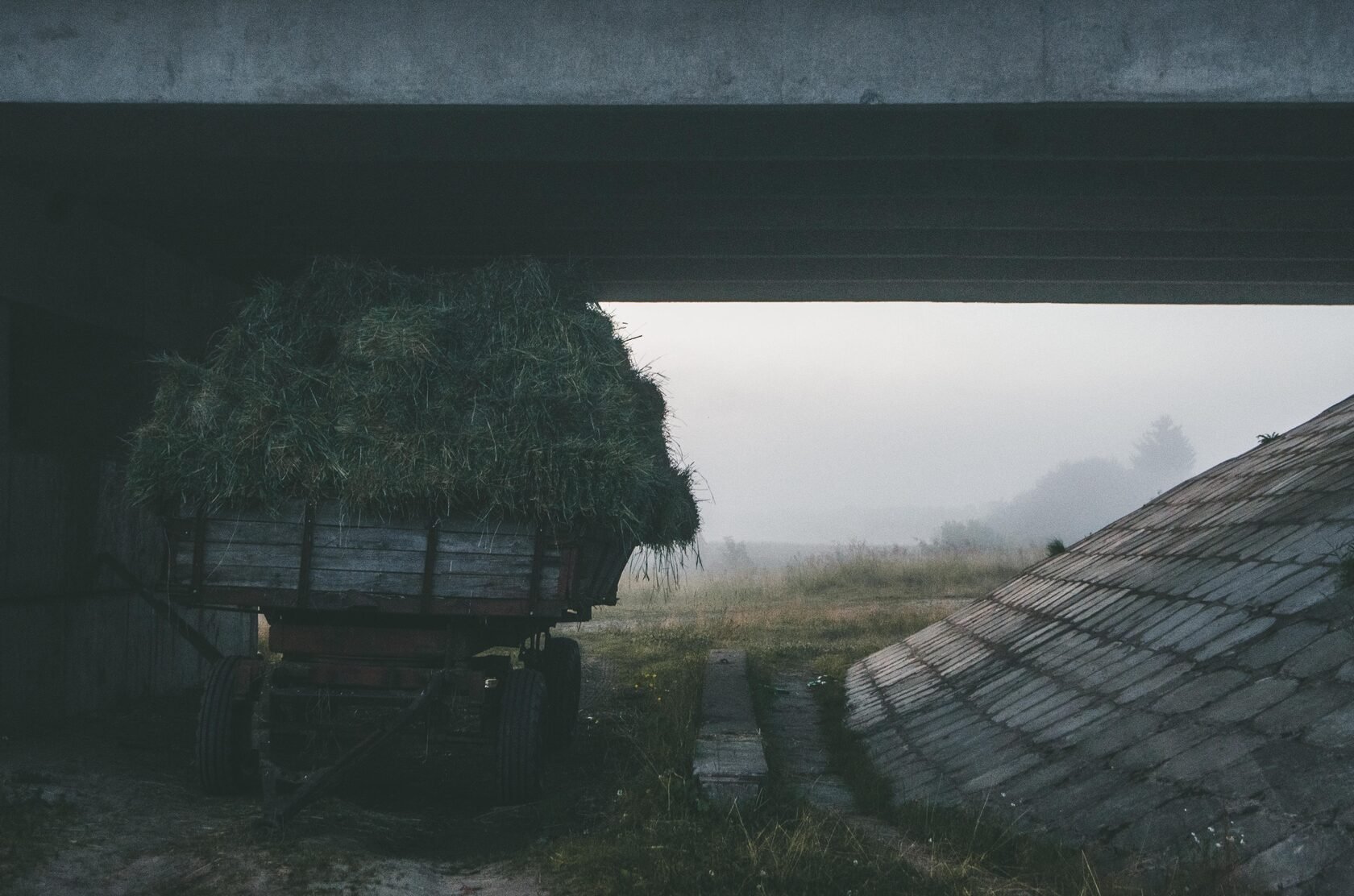 Обложка статьи