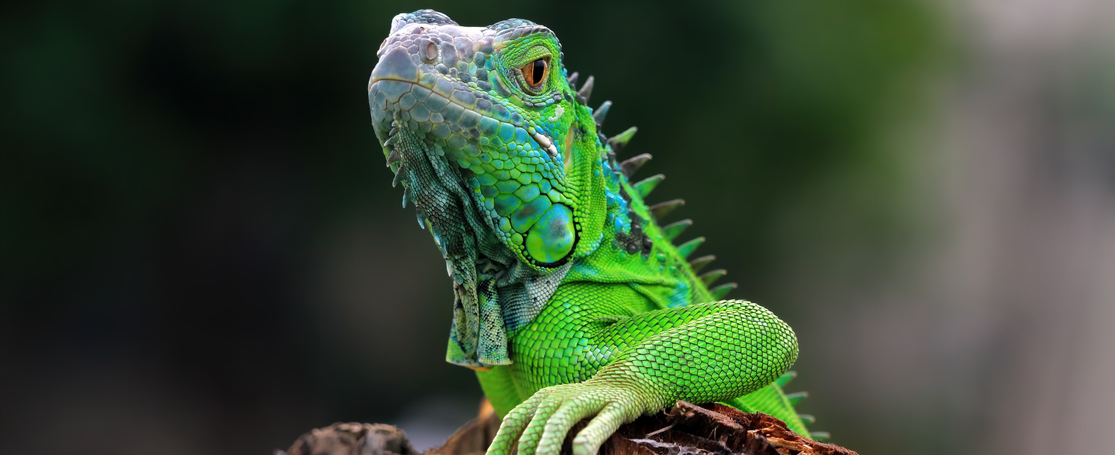 Обложка статьи