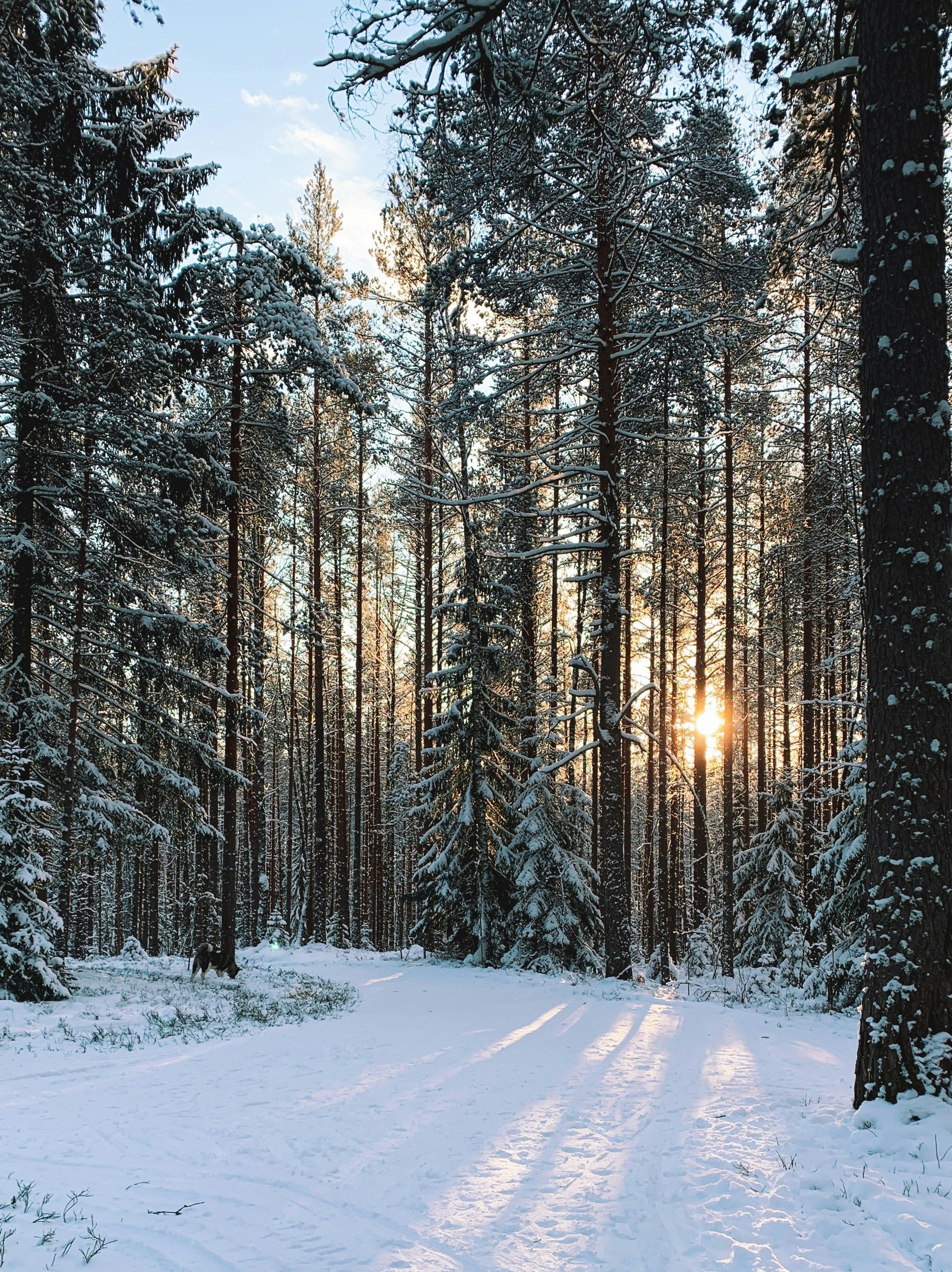 Обложка статьи