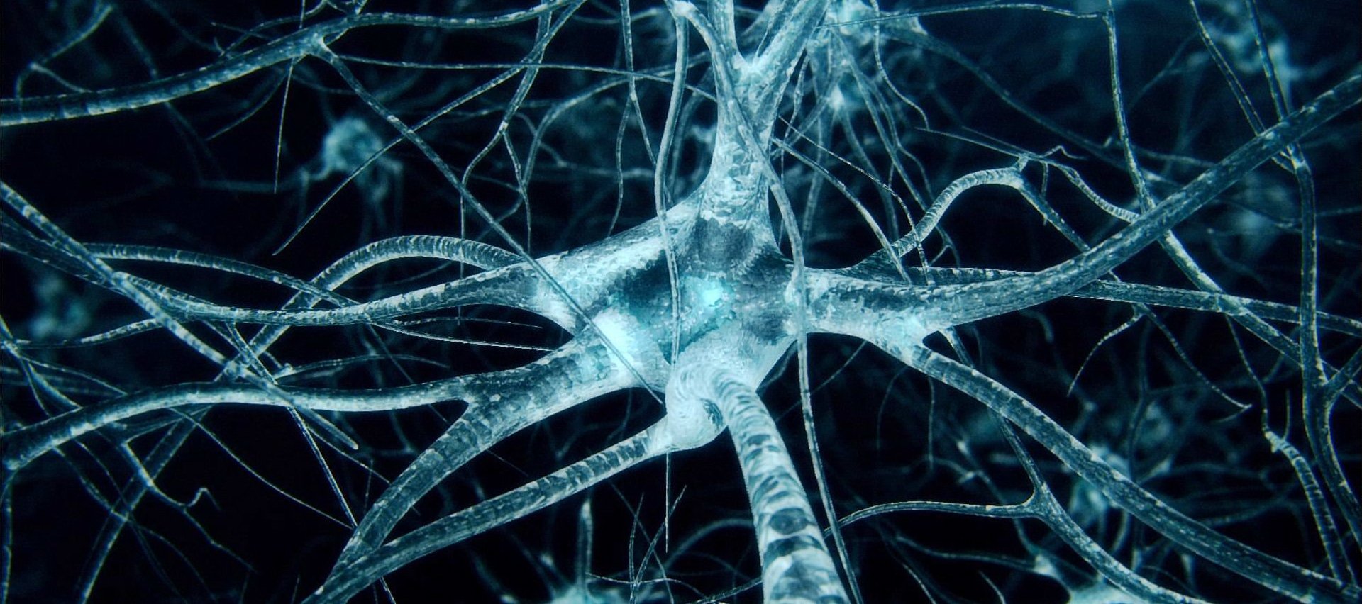 Обложка статьи