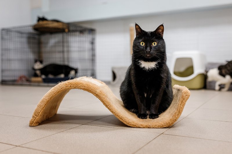 Обложка статьи