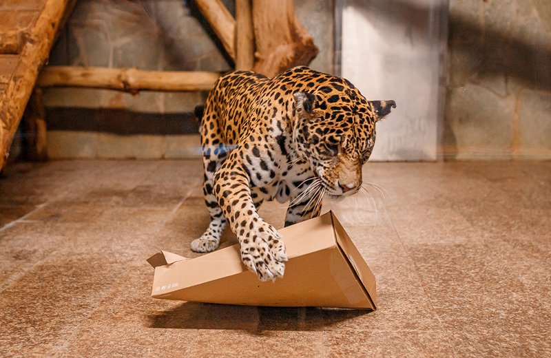 Обложка статьи