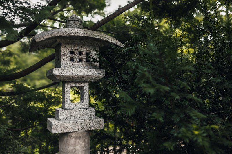 Обложка статьи