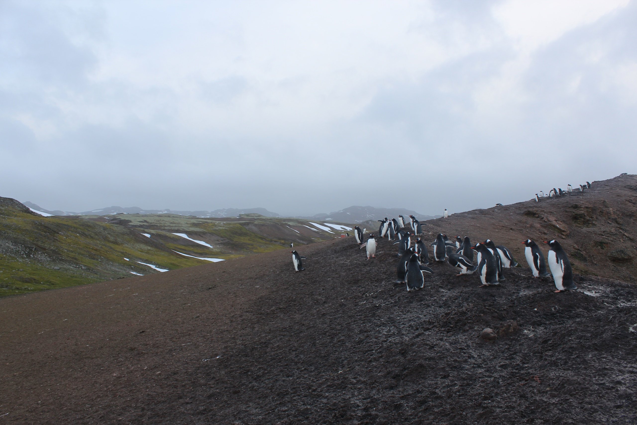 Обложка статьи