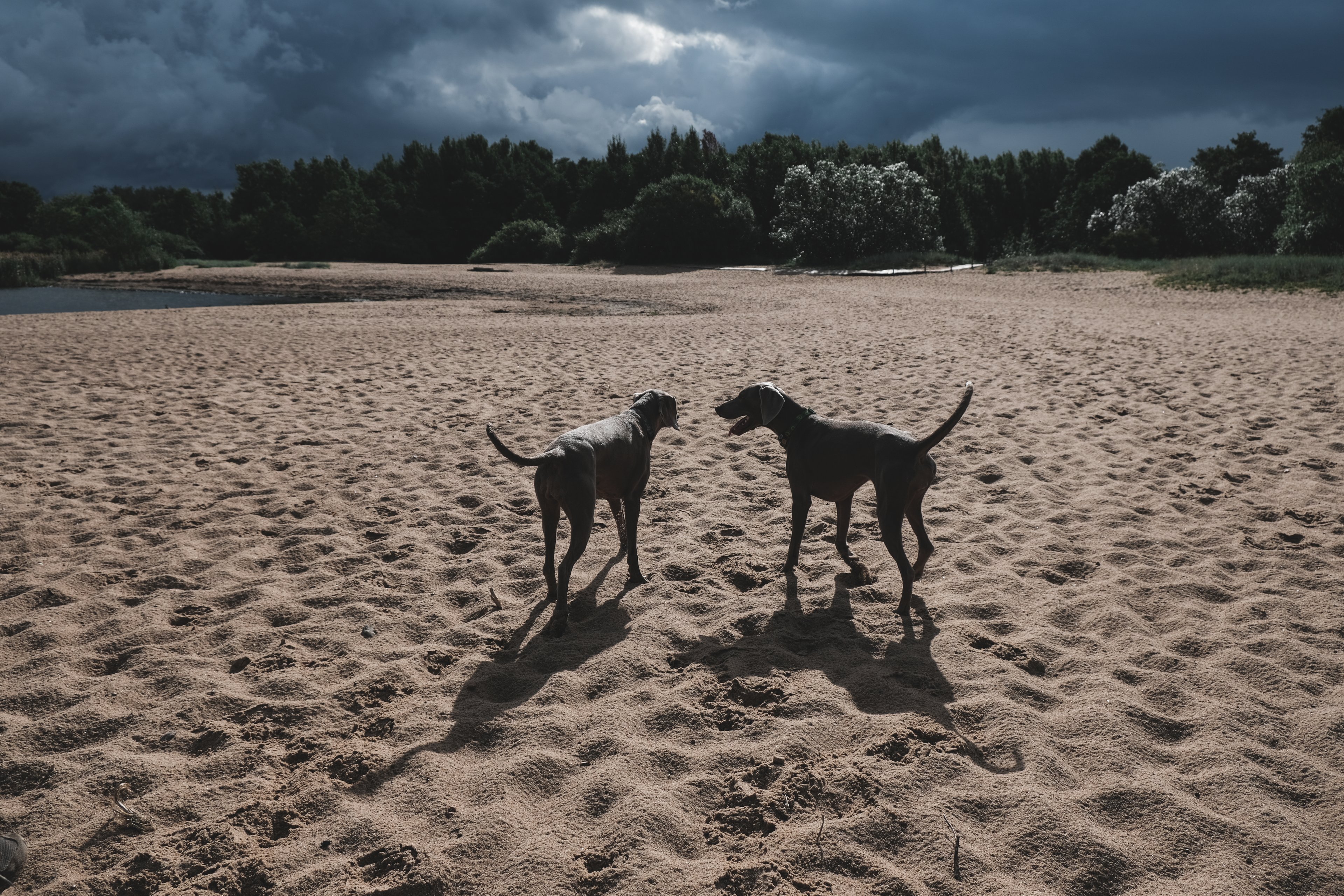 Обложка статьи