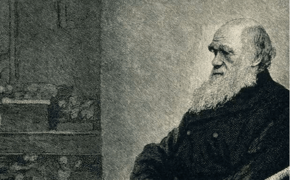 Обложка статьи