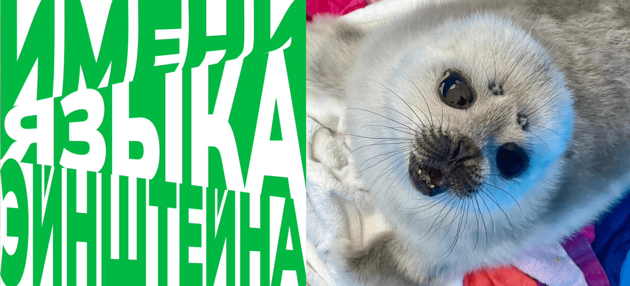 Обложка статьи