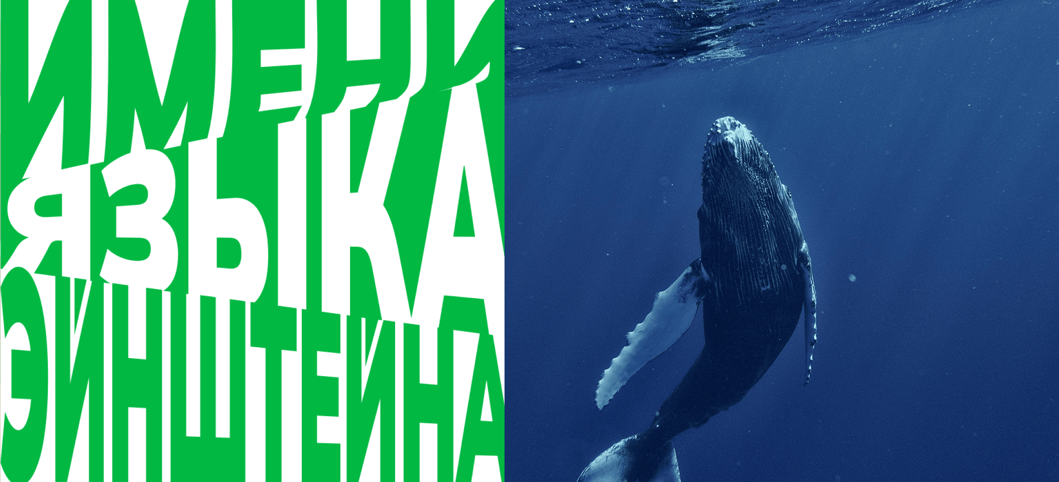 Обложка статьи