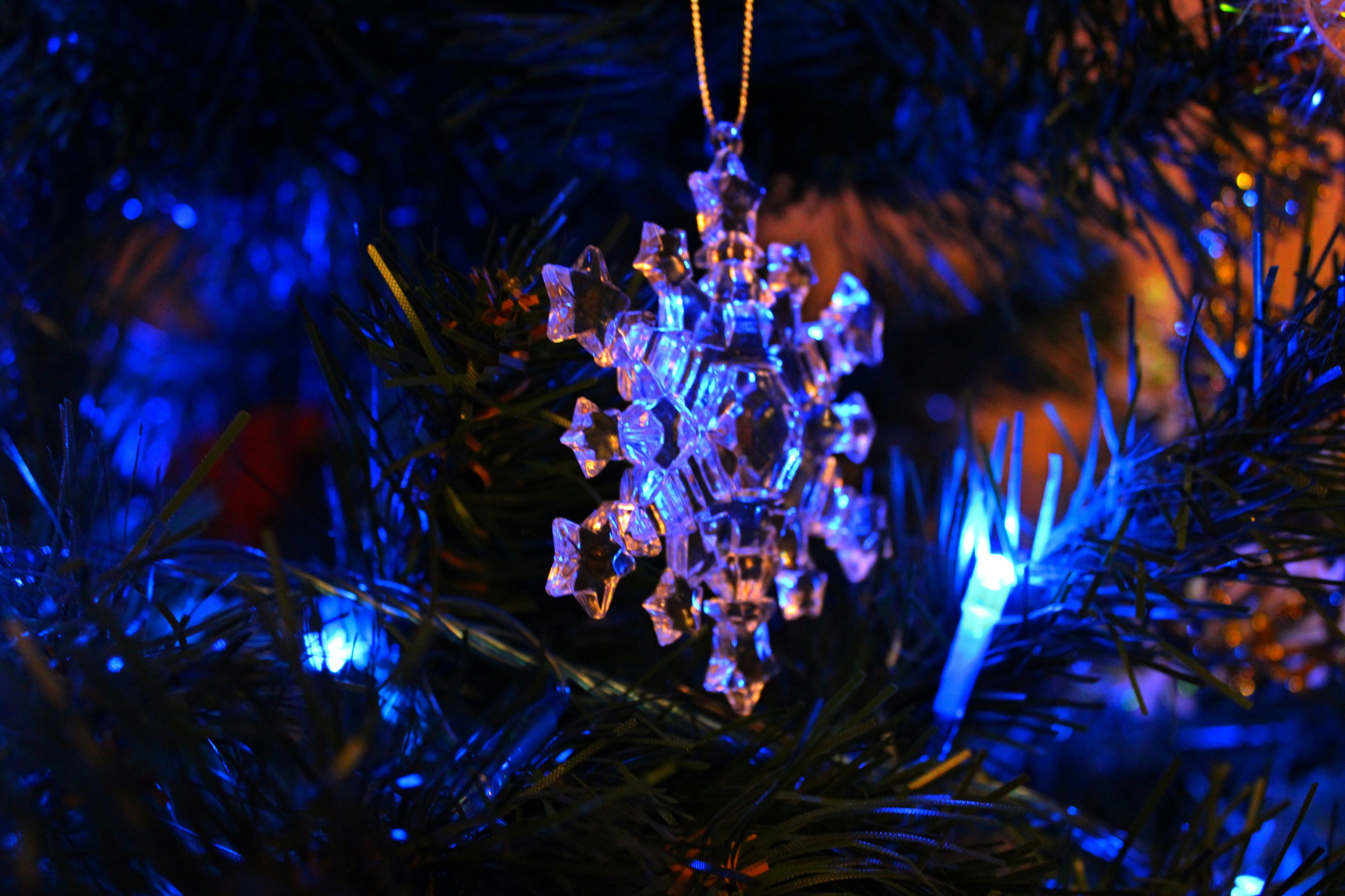 Обложка статьи