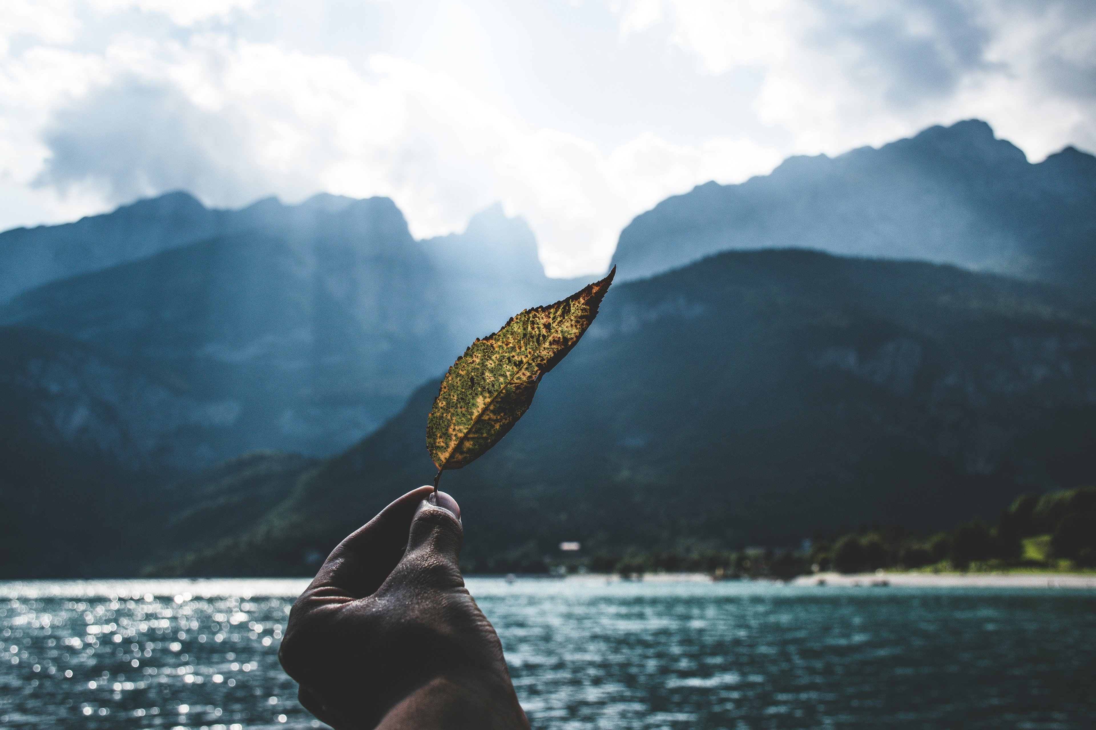 Обложка статьи