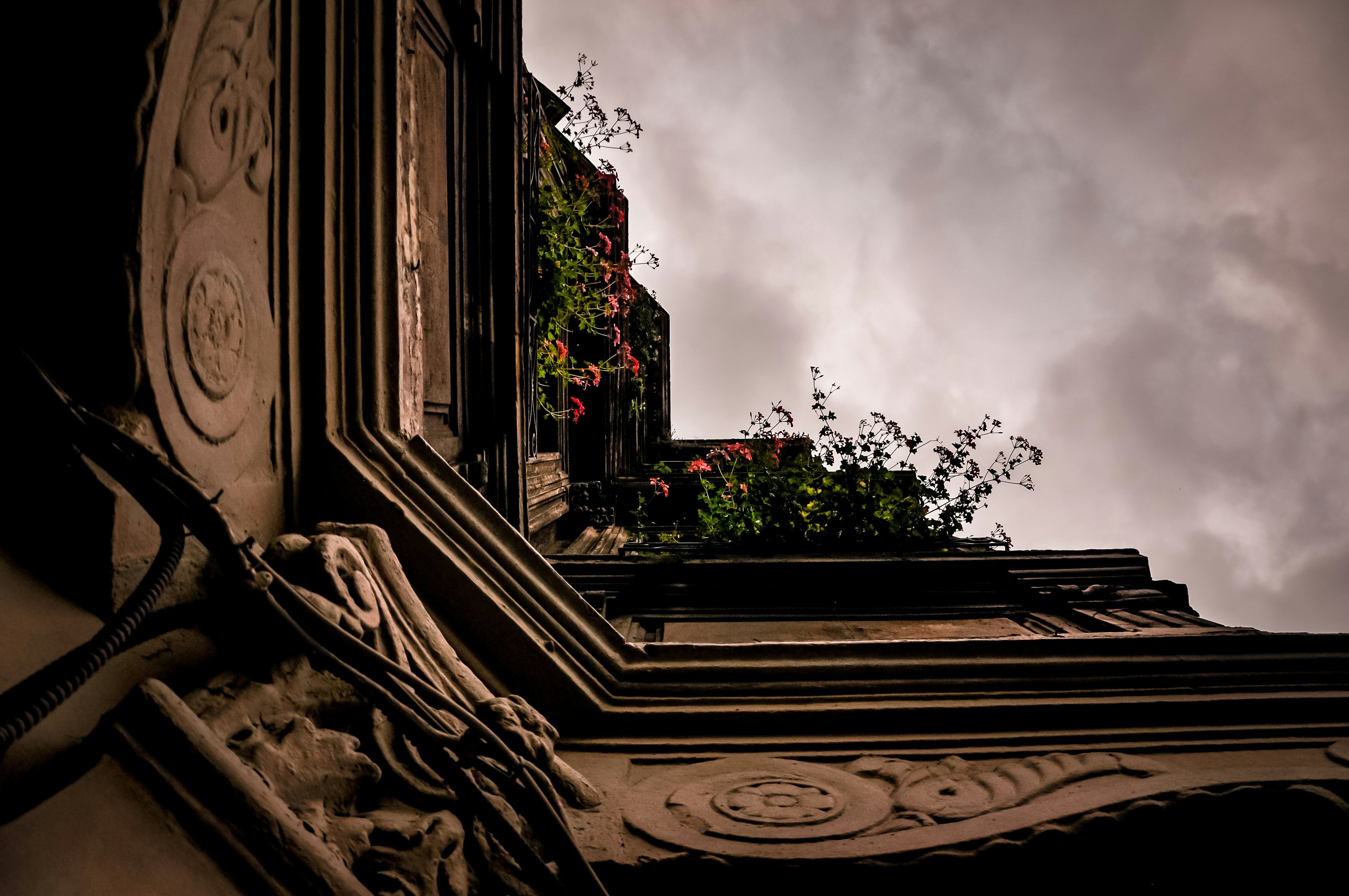 Обложка статьи