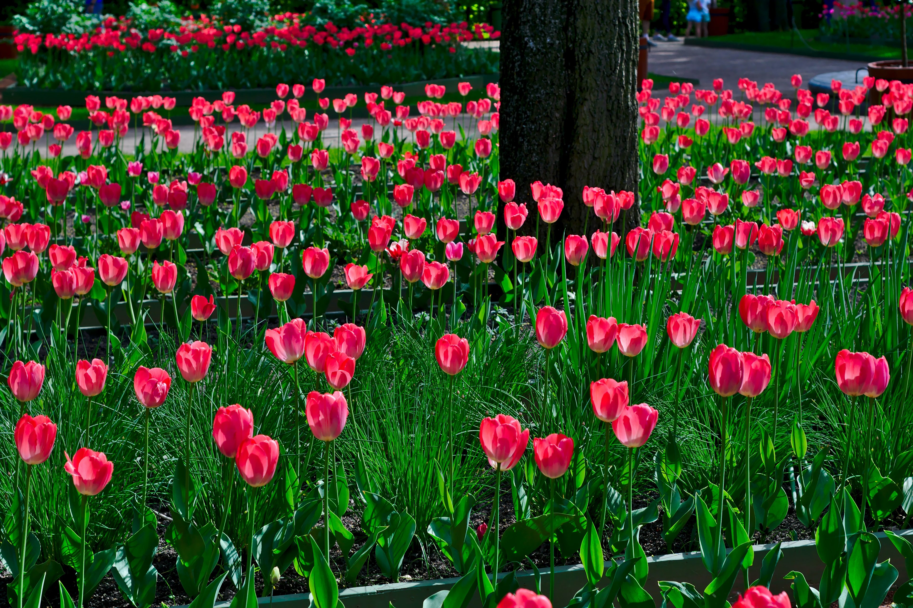 Обложка статьи